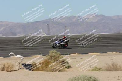 media/Oct-13-2025-Moto Forza (Mon) [[a66d839500]]/3-B Group/Session 2 (Bowl)/